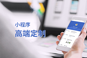 小程序開(kāi)發(fā)定制，專(zhuān)門(mén)開(kāi)發(fā)小程序的公司